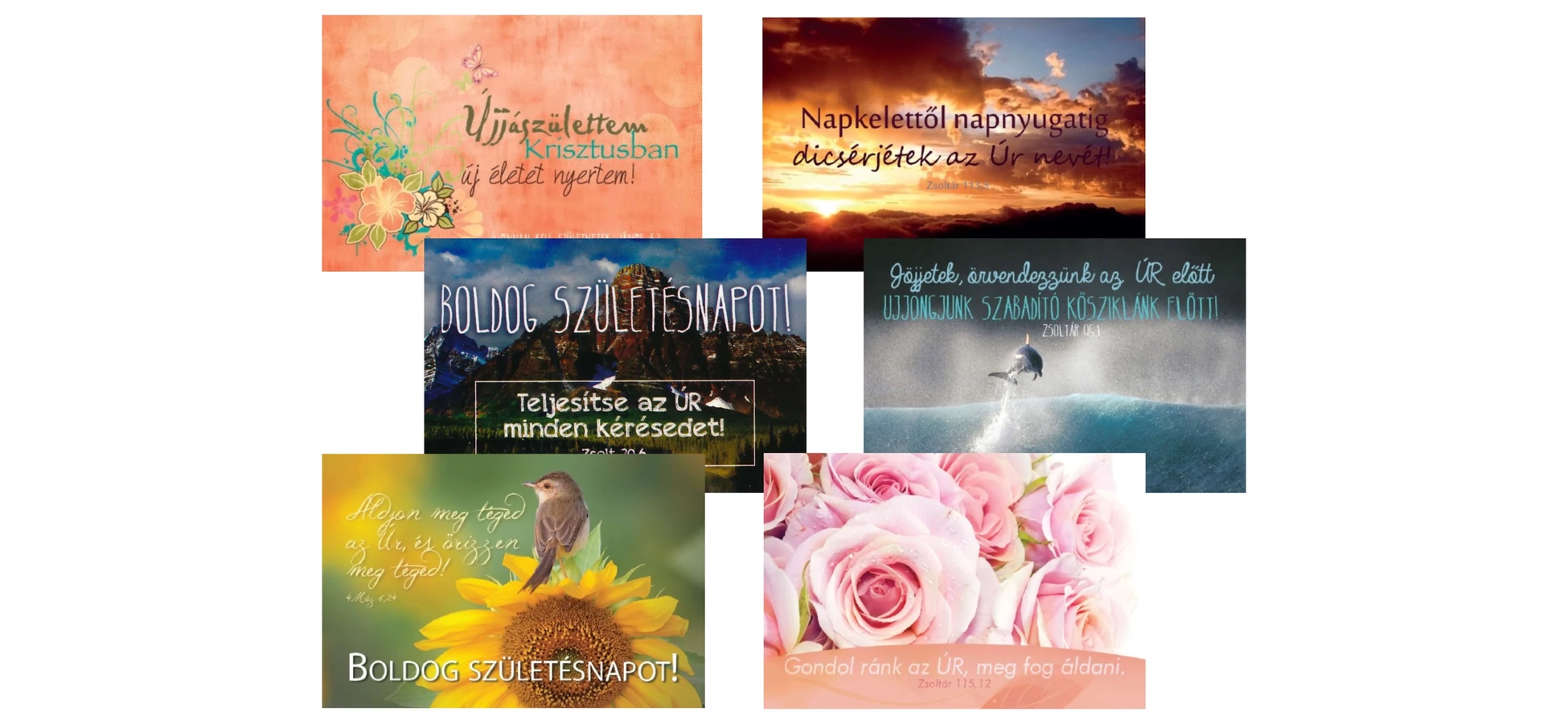 Már vegyes csomagok is kaphatók!