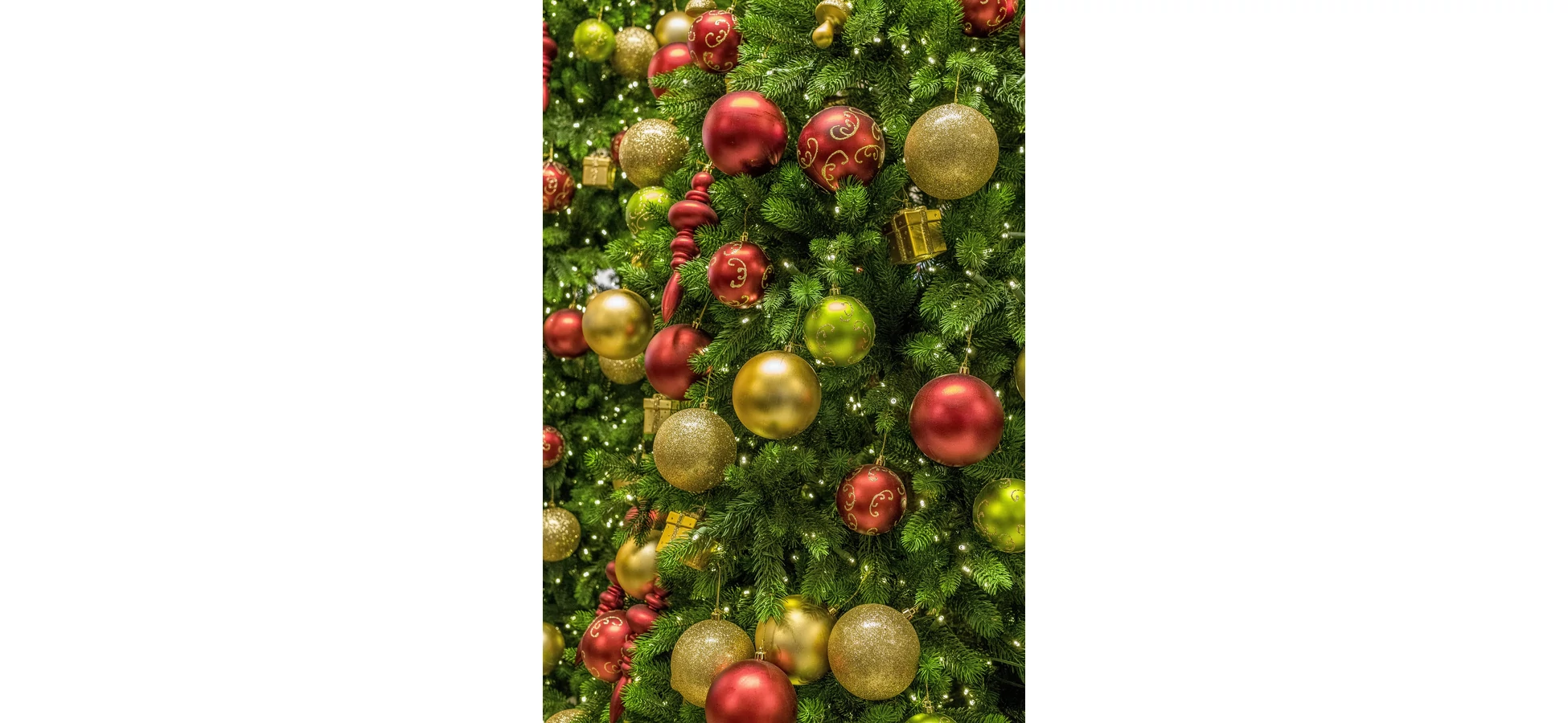 Karácsonyi könyvvásár 2023