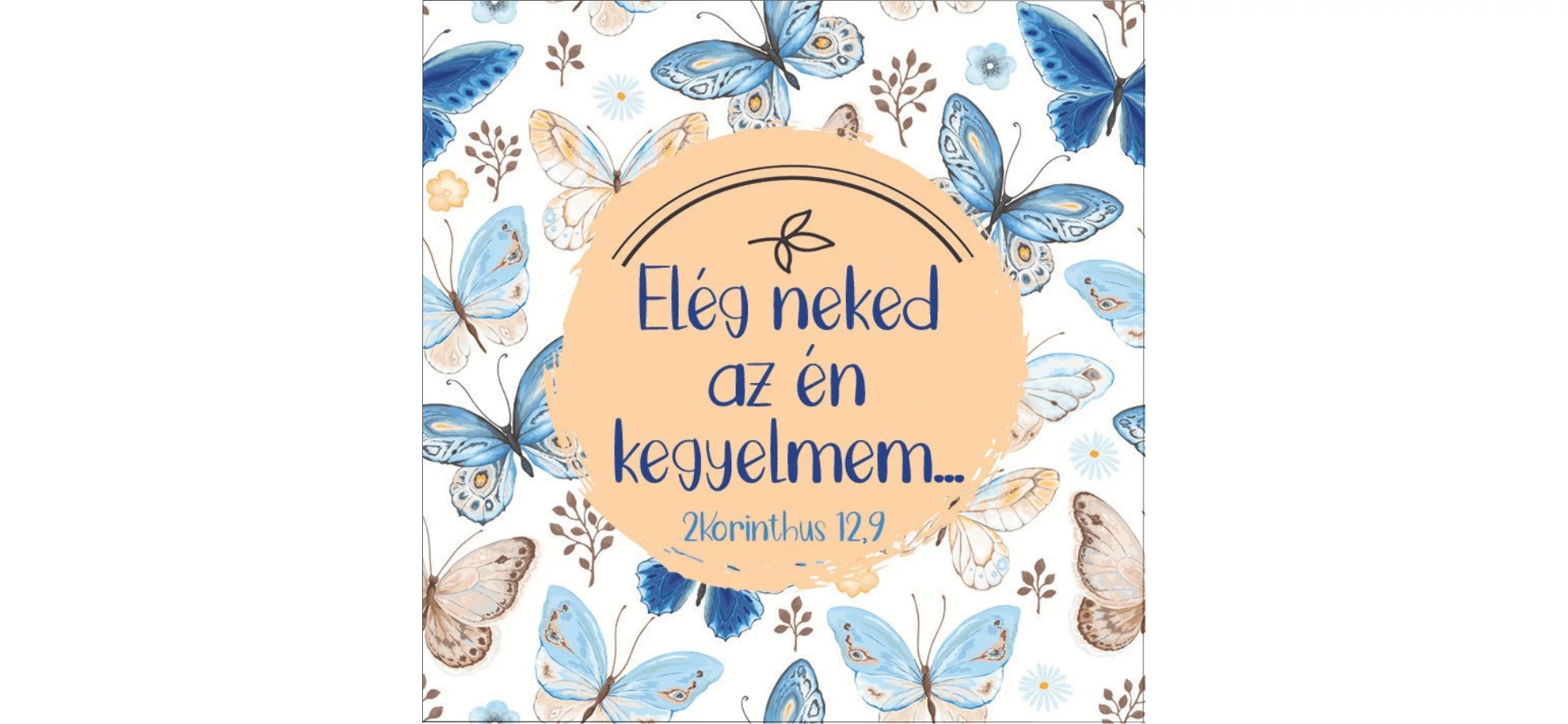 Új hűtőmágnesek érkeztek