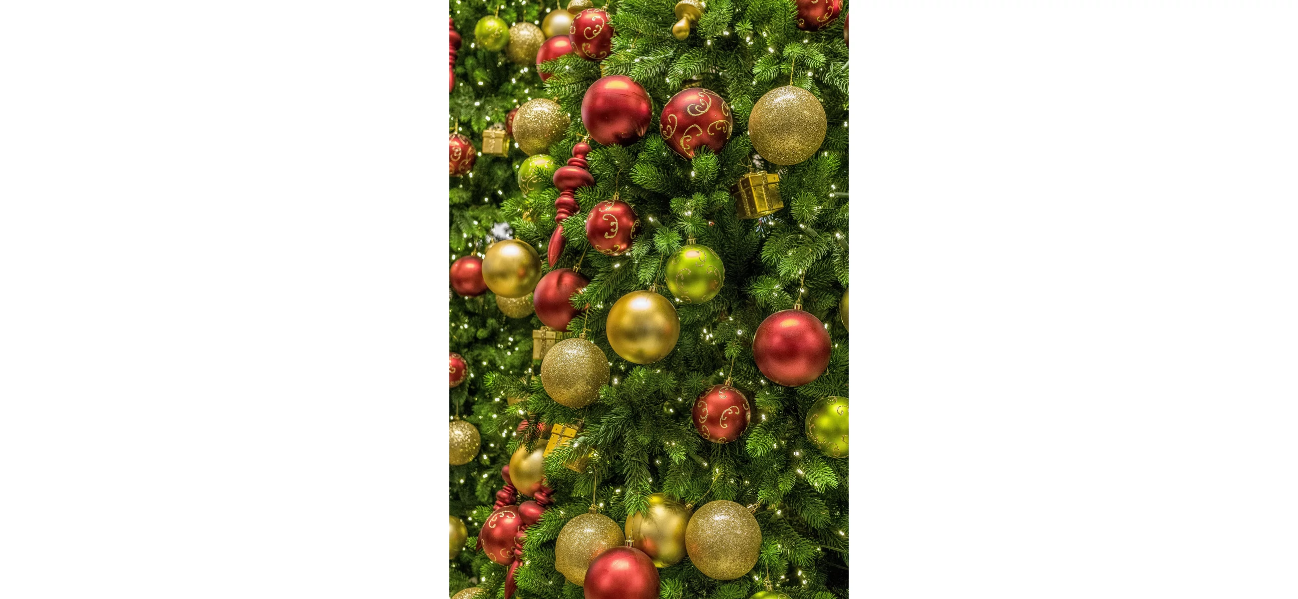 Karácsonyi könyvvásár 2023