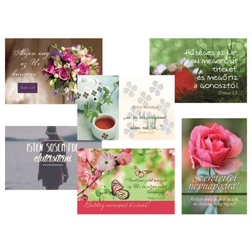 Minikártya – vegyes csomag 6 – névnapos