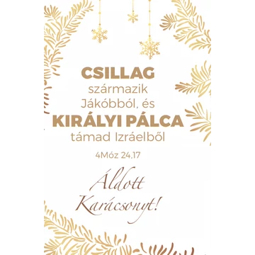 Csillag származik Jákóbból... – Karácsonyi, egyoldalas ajándékkísérő kártya csomag