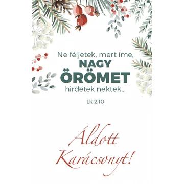 Ne féljetek... – Karácsonyi, egyoldalas ajándékkísérő kártya csomag