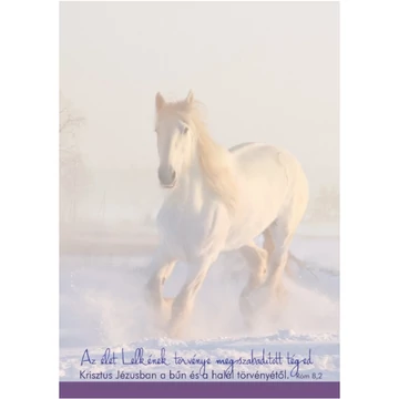 Az élet Lelkének törvénye megszabadított téged... – Jegyzettömb, nagy