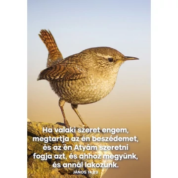 Ha valaki szeret engem – képeslap csomag (10 db)