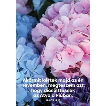 Képeslapcsomag, vegyes (álló) – Neki gondja van rátok – Igék János evangéliumából – 14 db/csomag