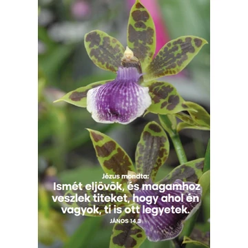 Ismét eljövök – képeslap csomag (10 db)