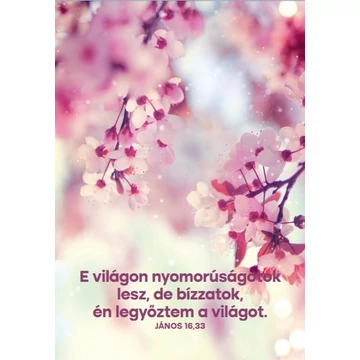 E világon nyomorúságotok lesz – képeslap csomag (10 db)
