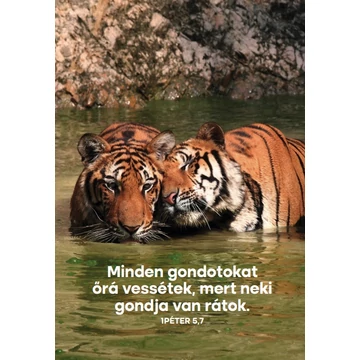 Minden gondotokat őrá vessétek – képeslap csomag (10 db)