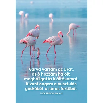 Várva vártam az Urat – képeslap csomag (10 db)