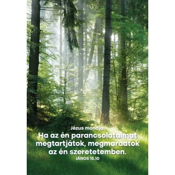Ha az én parancsolataimat – képeslap csomag (10 db)