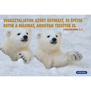 Vigasztaljátok azért egymást – képeslap csomag (10 db)