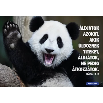 Áldjátok azokat – képeslap csomag (10 db)