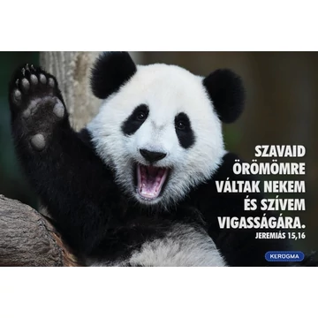 Szavaid örömömre váltak – képeslap csomag (10 db)