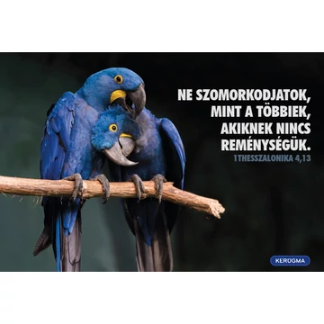 Ne szomorodjatok – képeslap csomag (10 db)