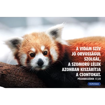 A vidám szív jó orvsság – képeslap csomag (10 db)