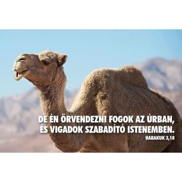 De én örvendezni fogok – képeslap csomag (10 db)