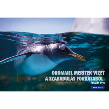 Örömmel merítek vizet – képeslap csomag (10 db)
