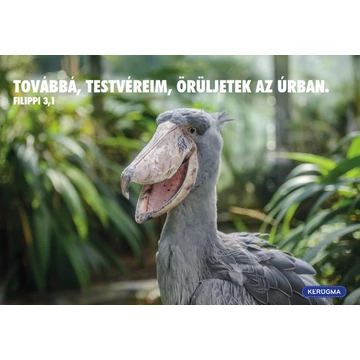 Továbbá, testvéreim – képeslap csomag (10 db)