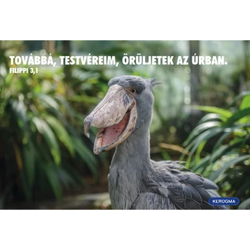 Továbbá, testvéreim – képeslap csomag (10 db)
