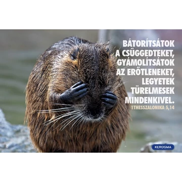 Bátorítsátok a csüggedteket – képeslap csomag (10 db)