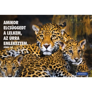 Amikor elcsüggedt a lelkem – képeslap csomag (10 db)