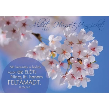 Mit keresitek a holtak között...– Cseresznyevirág – Húsvéti képeslap csomag