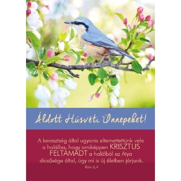 A keresztség által ugyanis - Madár - Húsvéti képeslap csomag