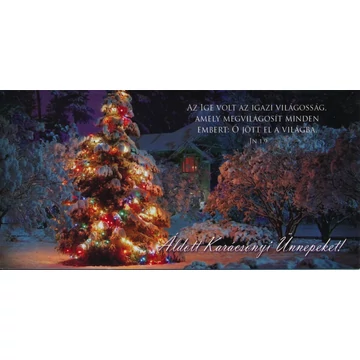 Az Ige volt az igazi világosság... – Karácsonyi borítékos képeslap