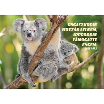 Ragaszkodik hozzád lelkem... – Képeslap csomag (KE-V1)