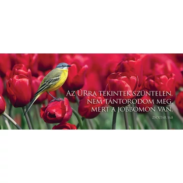 Az Úrra tekintek szüntelen... – Könyvjelző csomag (KJ-K01)