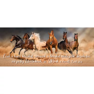 Ezek a harci kocsikat, amazok a lovakat emlegetik dicsekedve... – Könyvjelző csomag (KJ-K09)