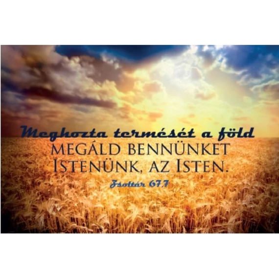 Meghozta termését a föld... – Minikártya csomag (T08)