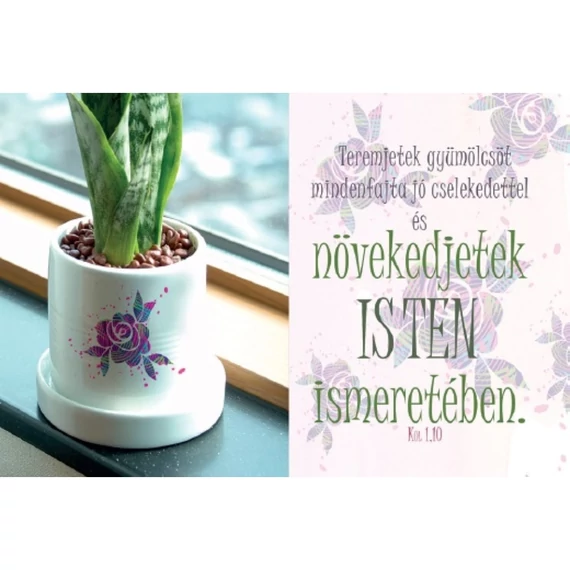 Teremjetek gyümölcsöt... – Minikártya csomag (T34)