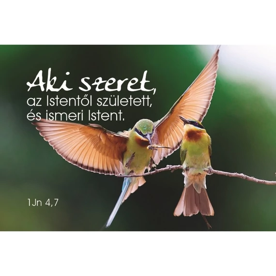 Aki szeret, az Istentől született... – Minikártya csomag (T78)