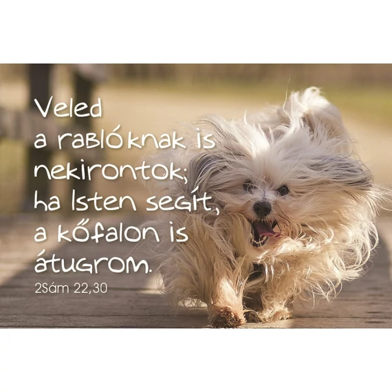 Veled a rablóknak is nekirontok... – Minikártya csomag (T81)