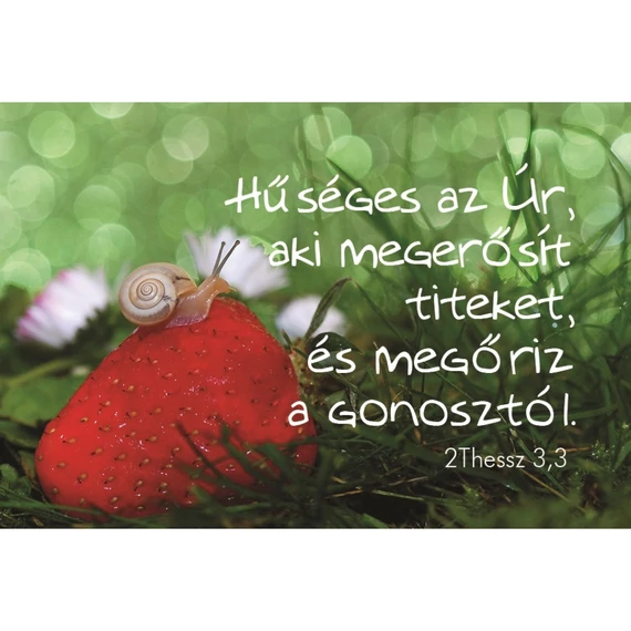 Hűséges az Úr, aki megerősít... – Minikártya csomag (T86)
