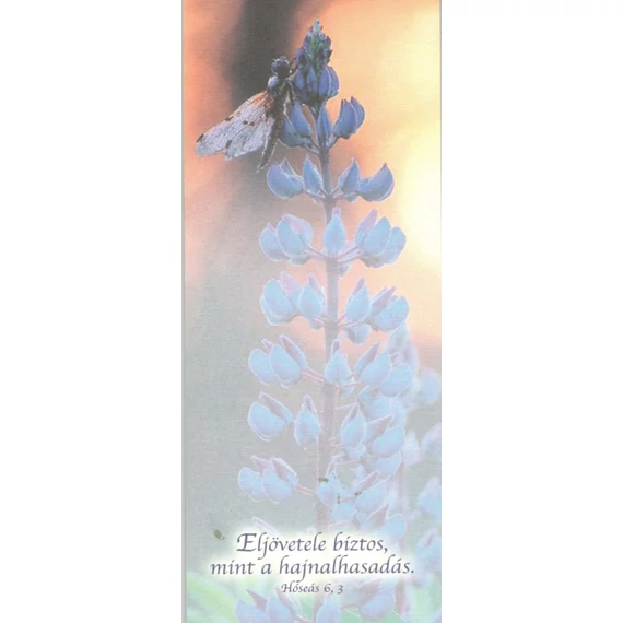 Eljövetele biztos, mint a hajnalhasadás – Jegyzettömb, kicsi