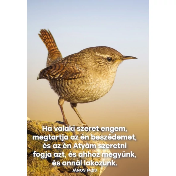 Ha valaki szeret engem – képeslap csomag (10 db)