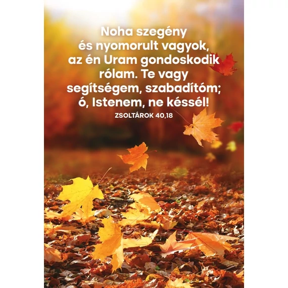 Noha szegény – képeslap csomag (10 db)