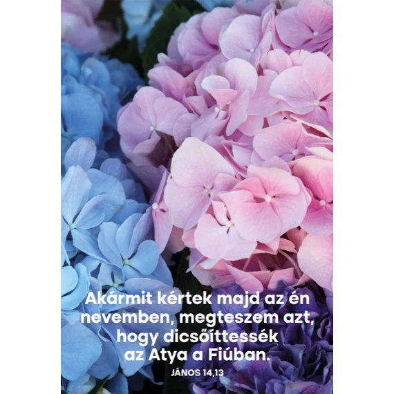 Akármit kértek majd az én nevemben – képeslap csomag (10 db)