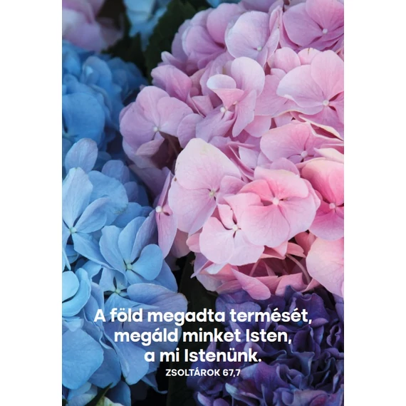 A föld megadta termését – képeslap csomag (10 db)
