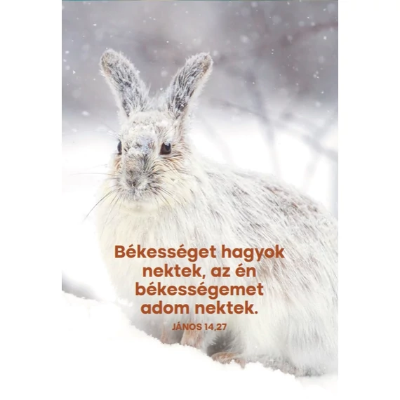 Békességet hagyok nektek – képeslap csomag (10 db)