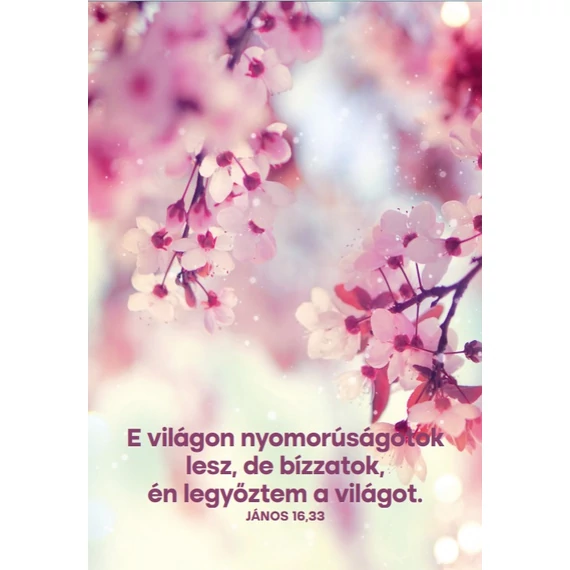 E világon nyomorúságotok lesz – képeslap csomag (10 db)