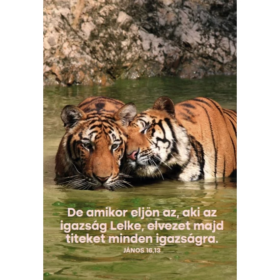 De amikor eljön az – képeslap csomag (10 db)