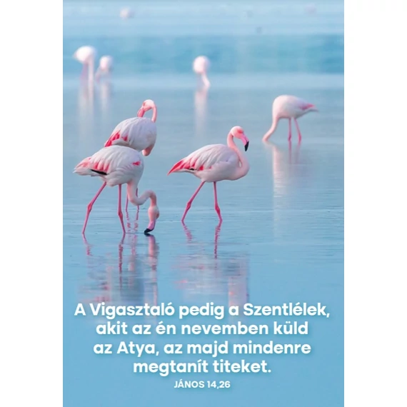 A Vigasztaló pedig a Szentlélek – képeslap csomag (10 db)