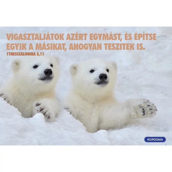 Vigasztaljátok azért egymást – képeslap csomag (10 db)