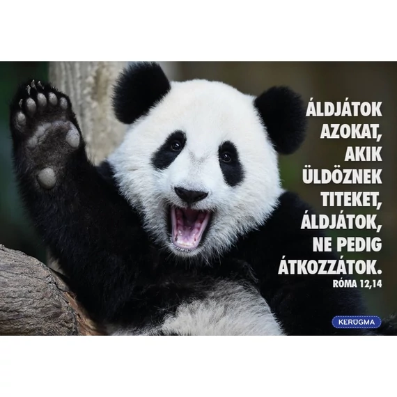 Áldjátok azokat – képeslap csomag (10 db)