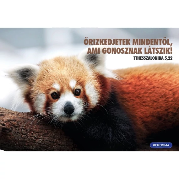 Őrizkedjetek mindentől – képeslap csomag (10 db)