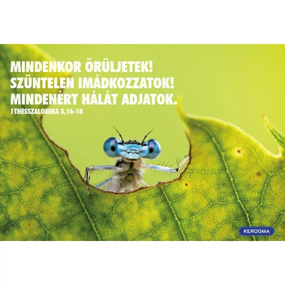 Mindenkor örüljetek – képeslap csomag (10 db)